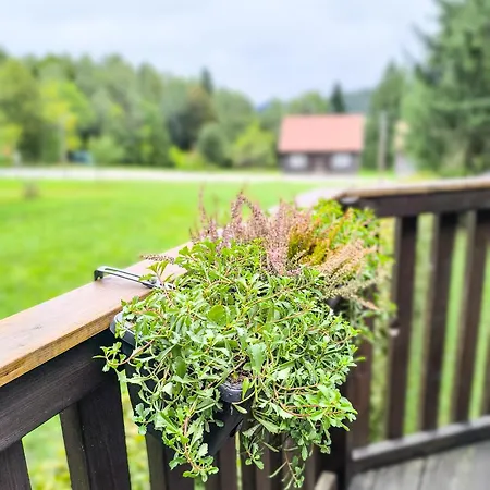 Zlatica シャレー Kupjak