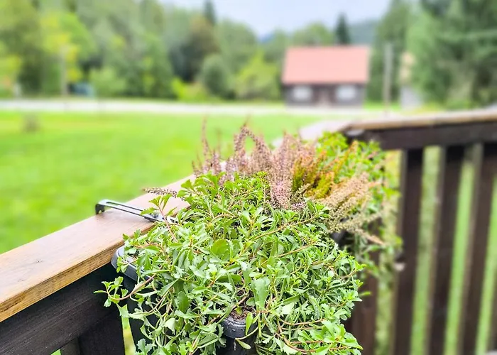 Zlatica Domek alpejski Kupjak